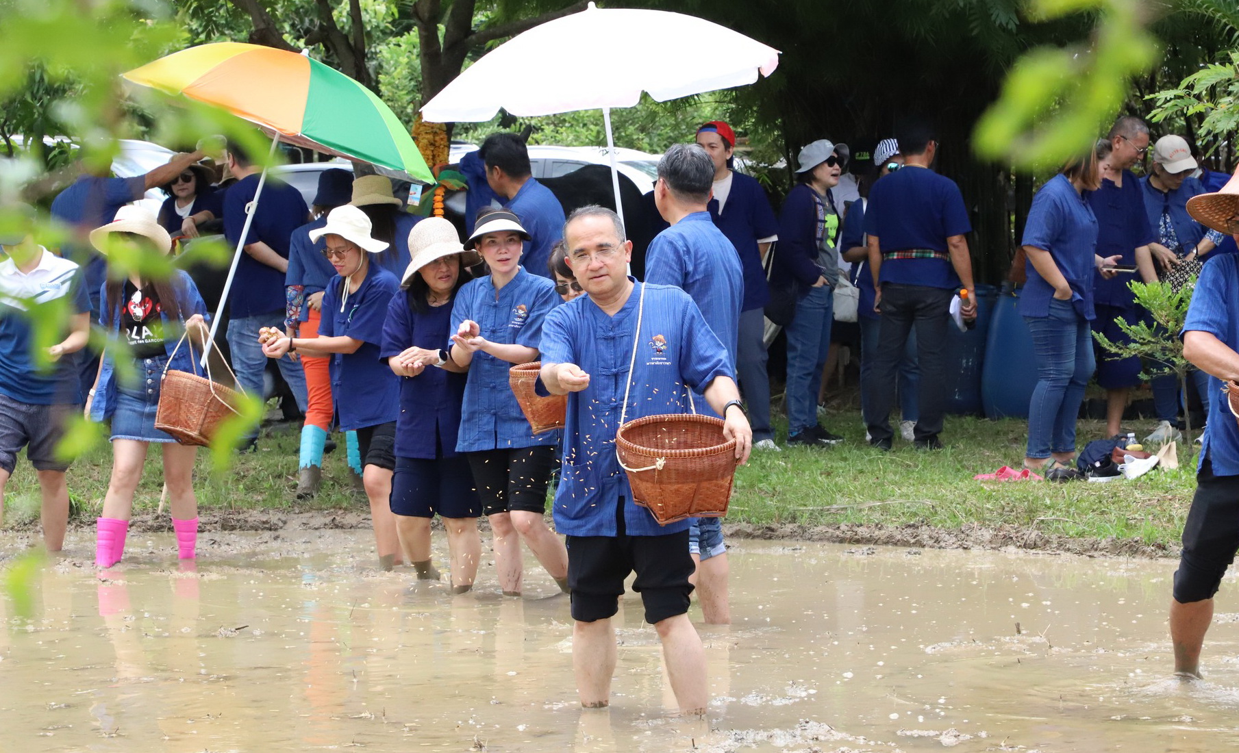 🌈 ผู้ว่าฯ สมคิด ลงแปลงนา “หว่านวันแม่  เกี่ยววันพ่อ” โครงการเรียนรู้วิถีชาวนา พบความสุข ตามแนวทางศาสตร์พระราชา” ✨